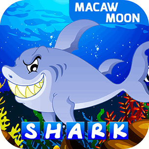 Shark Letters Macaw Moon